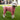 The Couch Potato Onesie- Pink