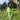 The Couch Potato Onesie- Green