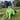The Couch Potato Onesie- Green