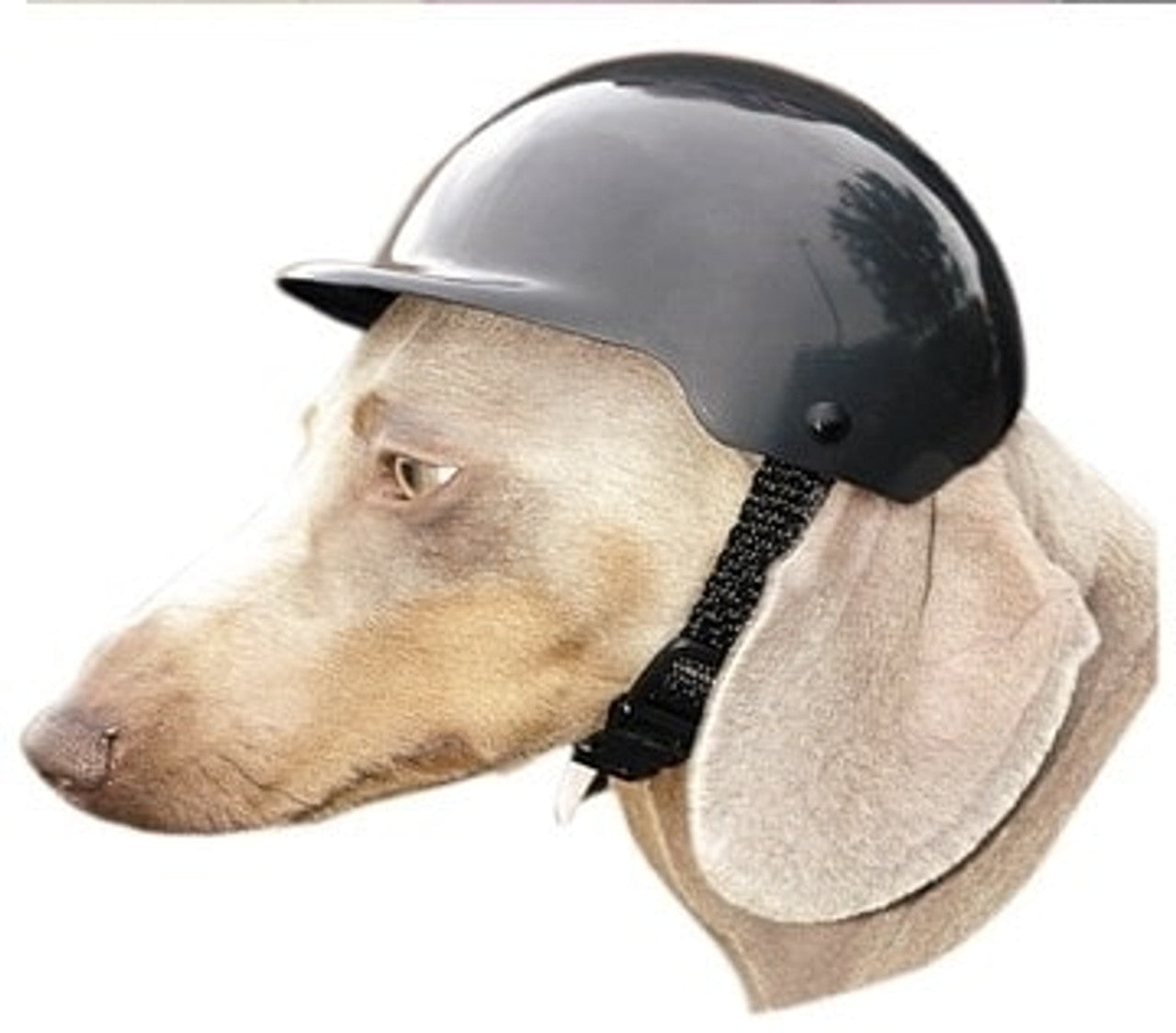 american classic motorcycle helmet only for chihuahua Motorcycle Dog Helmet