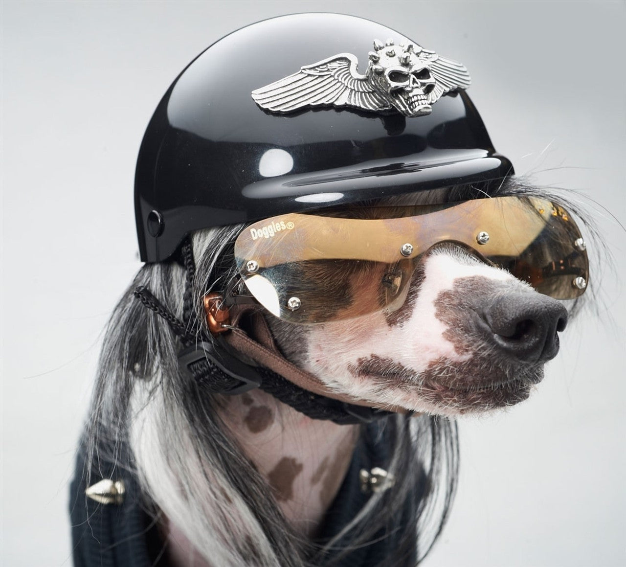 Winged Spiked Skull Motorcycle Dog Helmet