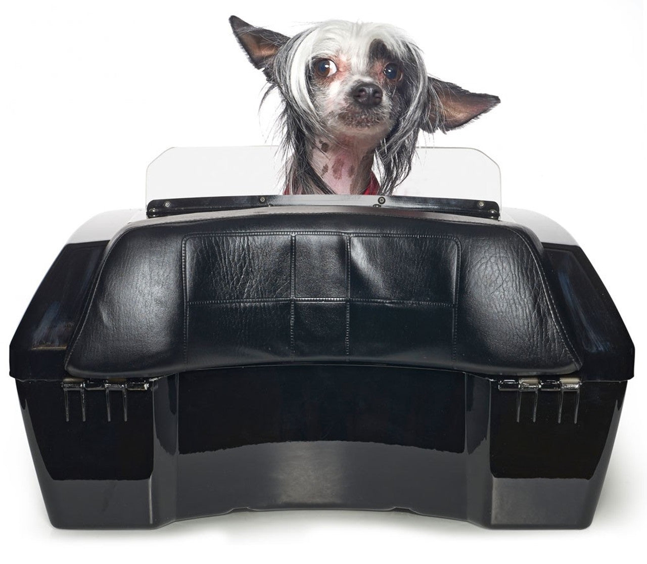 Large Motorcycle Dog Carrier Rockstar Puppy – Rockstar Puppy