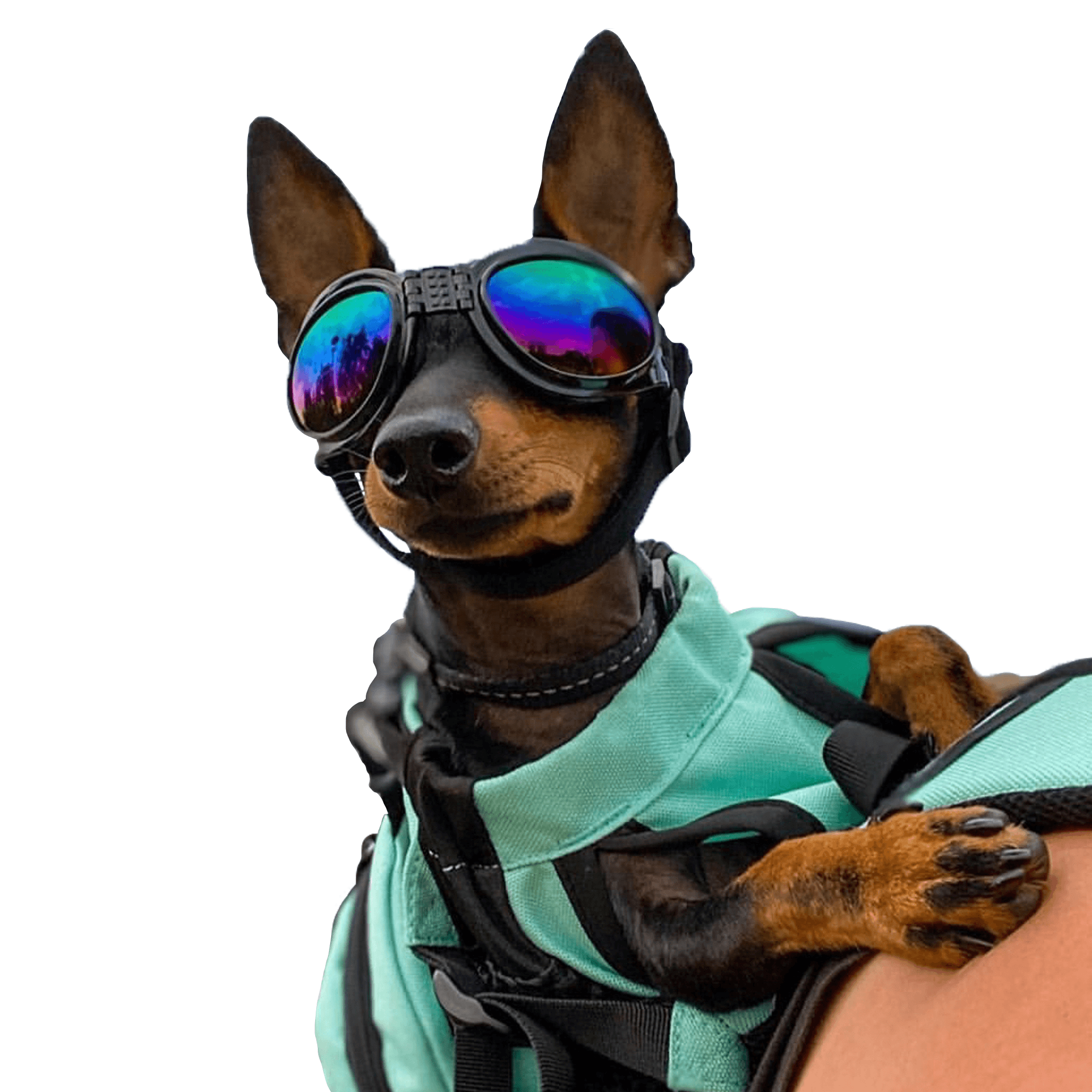 K9 Sport Shades – Dog Goggles for Sun, Wind, and Adventure Protection