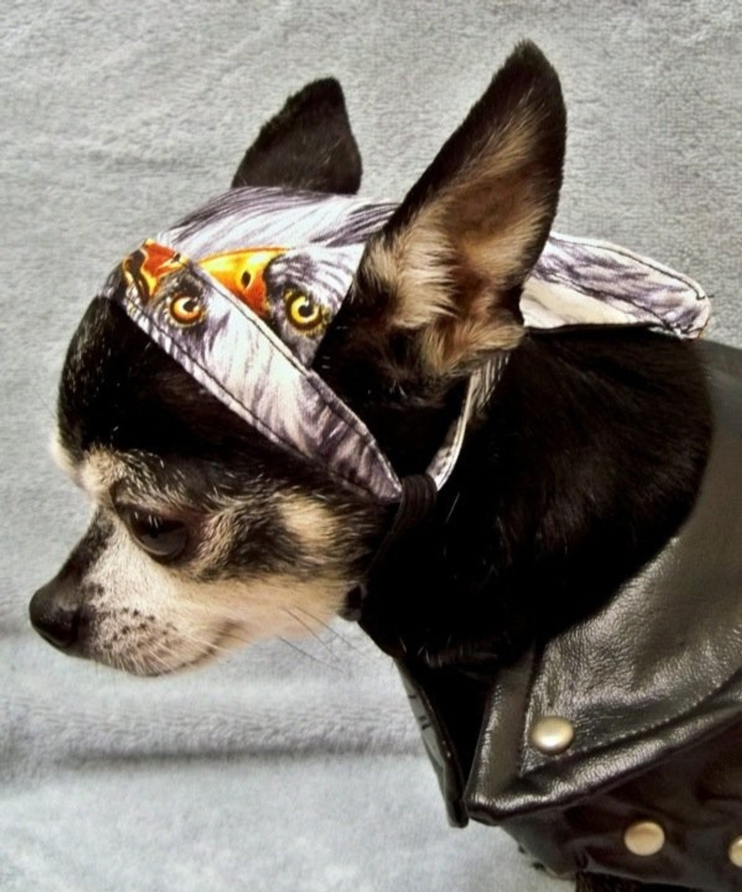 Doo Rag for Dogs Biker Dog Accessories Eagle Doo Rag for Dogs