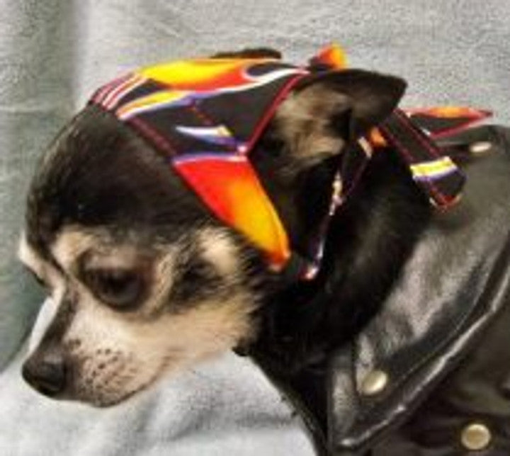 Doo Rag for Dogs Biker Dog Accessories Rockstar Puppy