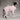 Sherpa Dog Onesie in Pink