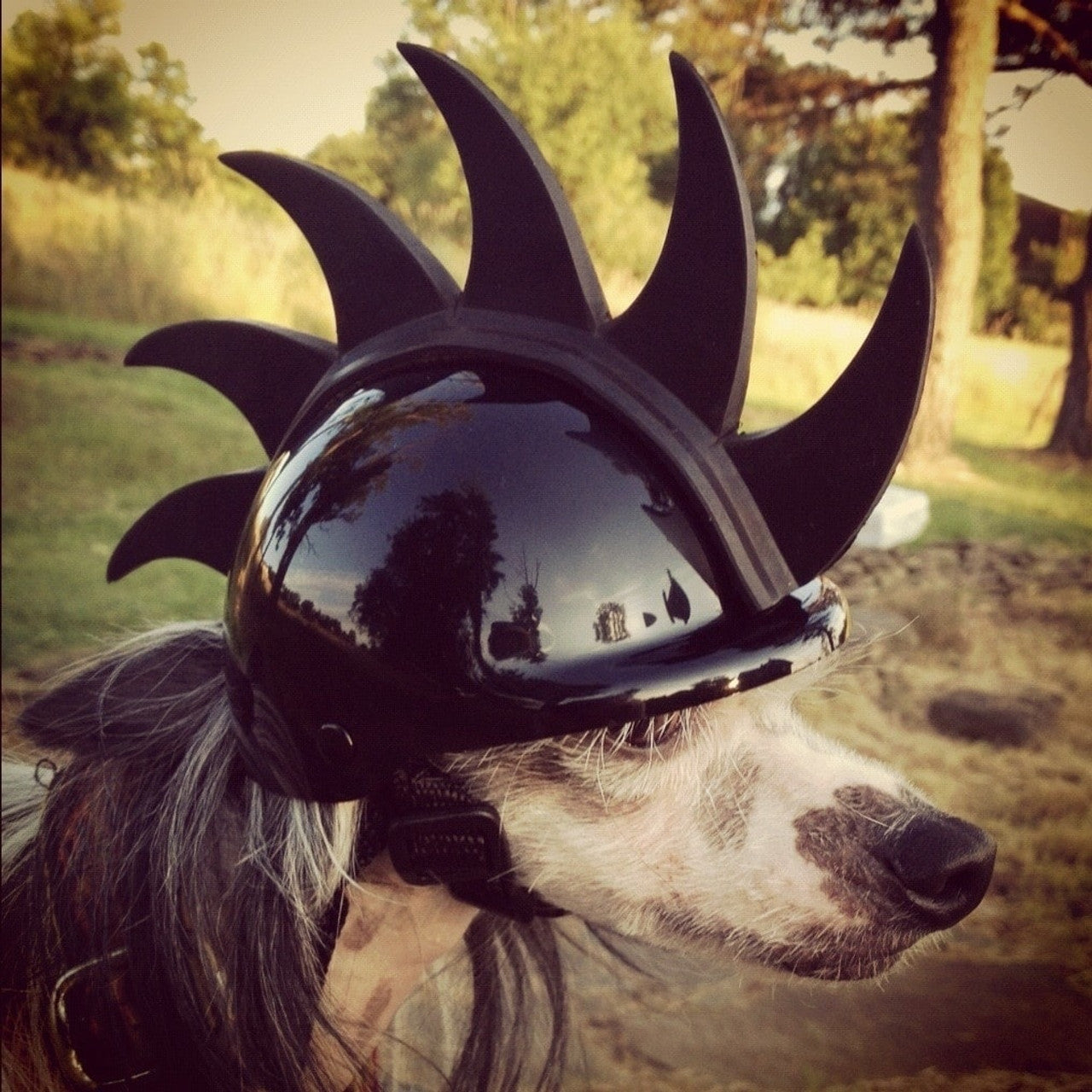 Mohawk Motorcycle Dog Helmet | Rockstar Puppy Boutique