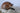 Airbrushed Camo Dog Helmet