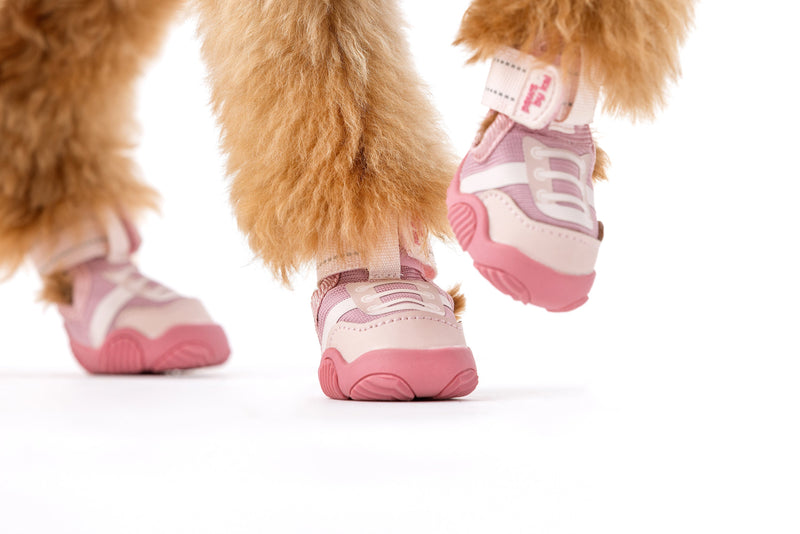 Shoes for Dogs | Dog Shoes & Boots | Rockstar Puppy