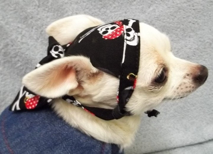 Doo Rag for Dogs | Biker Dog Accessories | Pirate Skull Doo Rag for Dogs