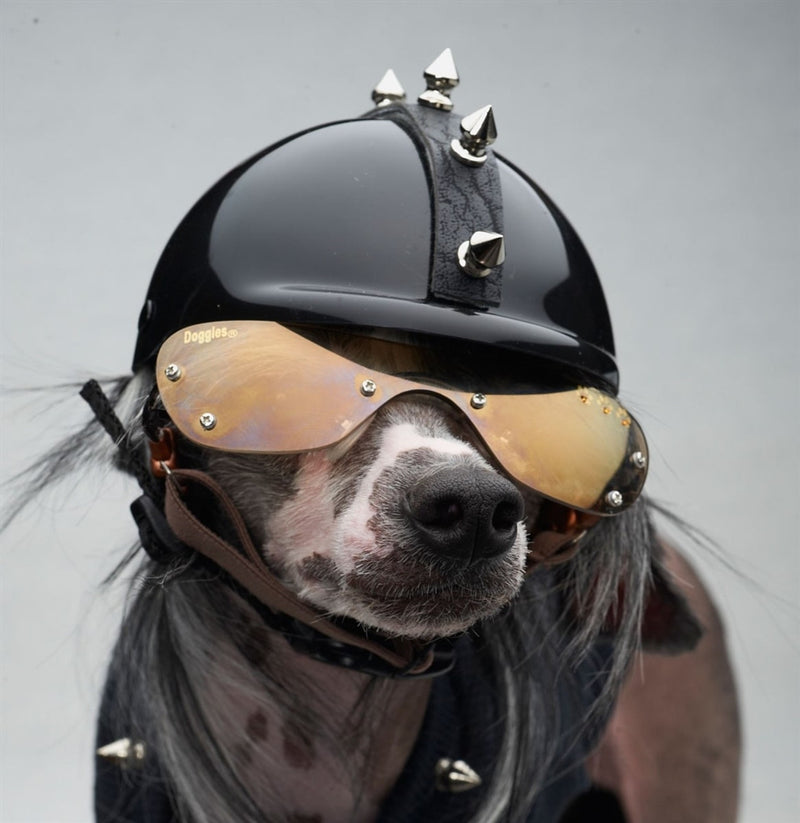 bike helmet for chihuahua PETLESO Extra Small Dog Goggles and XSmall Dog Helmet, 2Pcs Anti-UV Doggy Sunglasses Cat Motorcycle Protecetive Set, Safety Hard Hat Outdoor Head & Eyes Protection, Black XS fit dogs medical helmet can protect your dogs head from any minor head trauma. Lesypet Dog Helmet for Cats