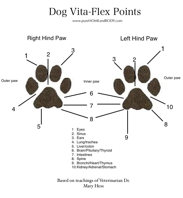 Vita Flex Chart For Essential Oils